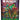 Teenage Mutant Ninja Turtles Booster Pack